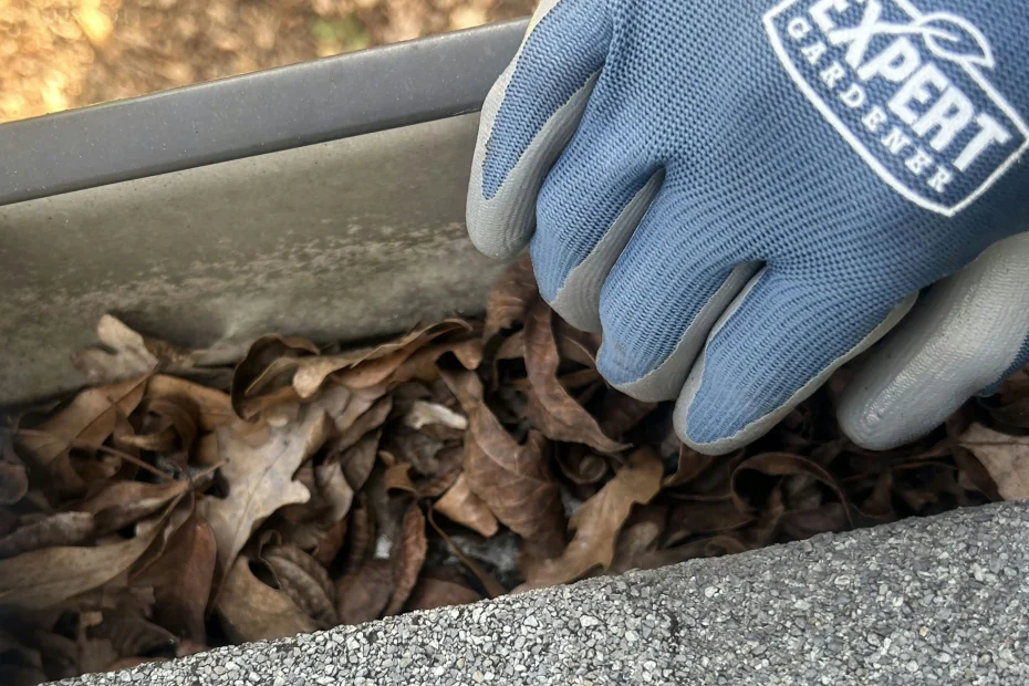 Gutter Cleaning Cranbury